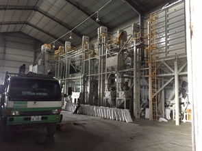 柬埔寨大米加工厂 优质稻米产业链与食品经营商机解析